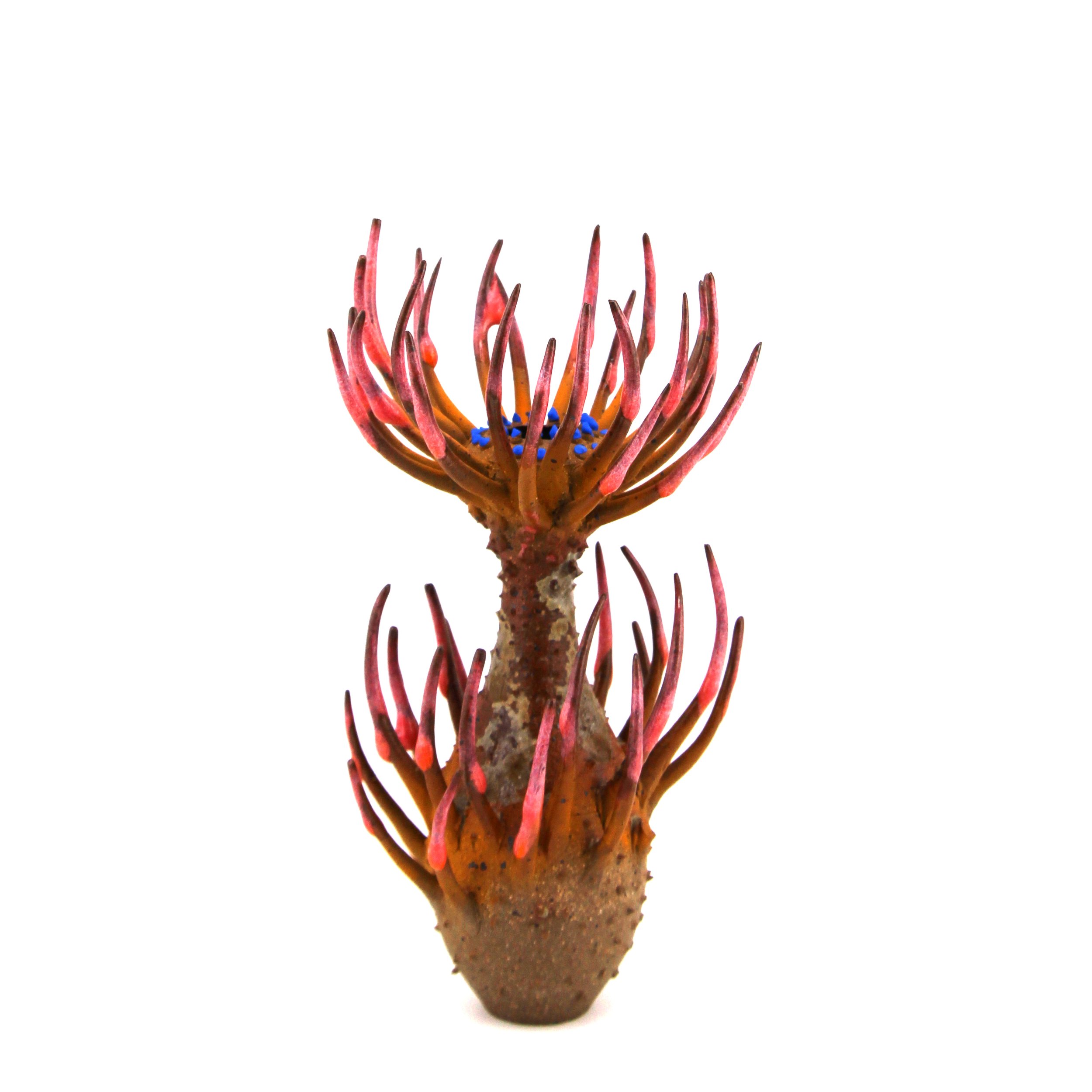 Blooming Cnidaria (2026) - Stoneware, underglaze, glaze, wood ash - 3.25 x 3.25 x 6.5 in