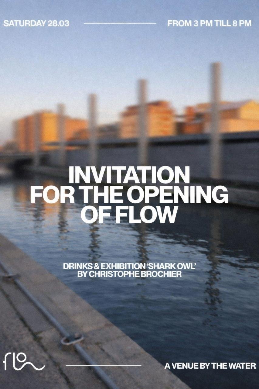 Flow Opening — Exhibition “Shark Owl” by Christophe Brochier