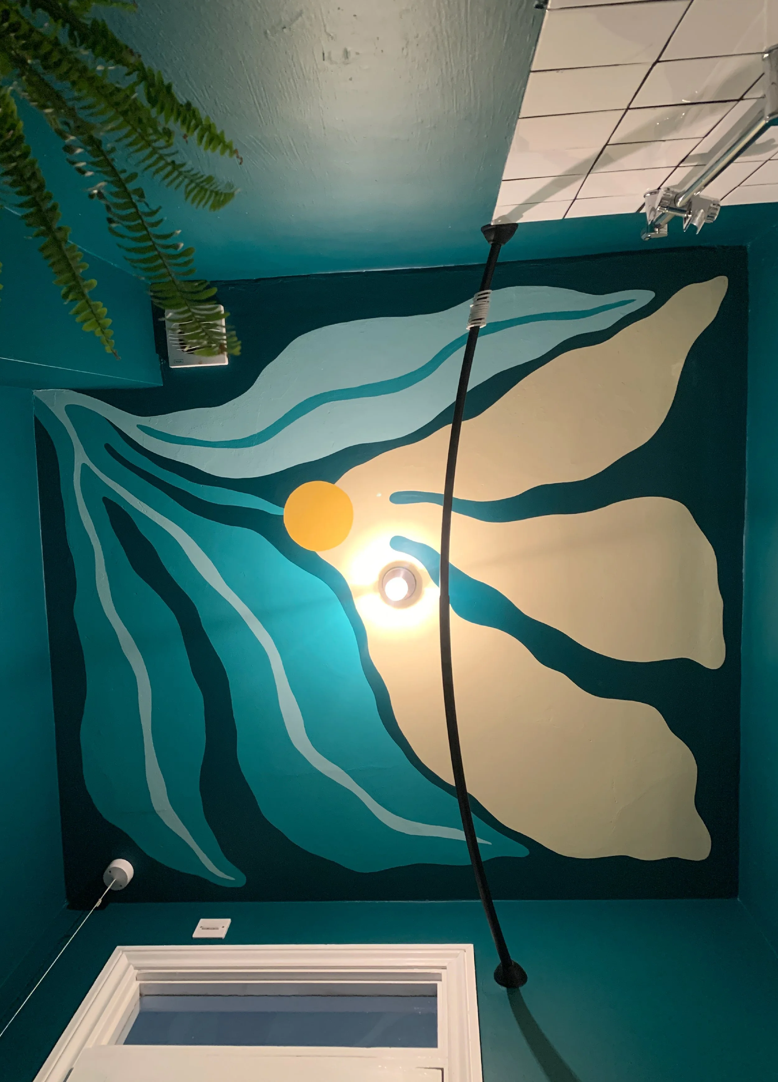 PZ ceiling1-01.jpg