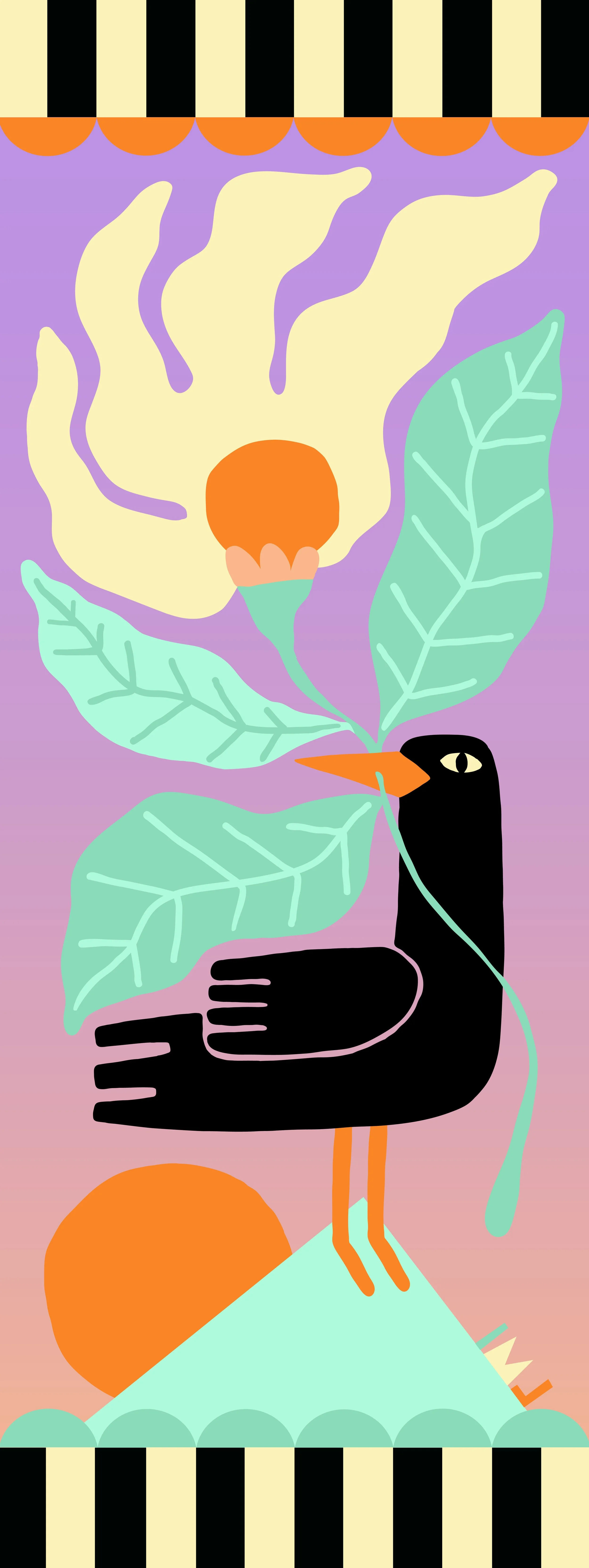 Chough Banner 2-01.jpg