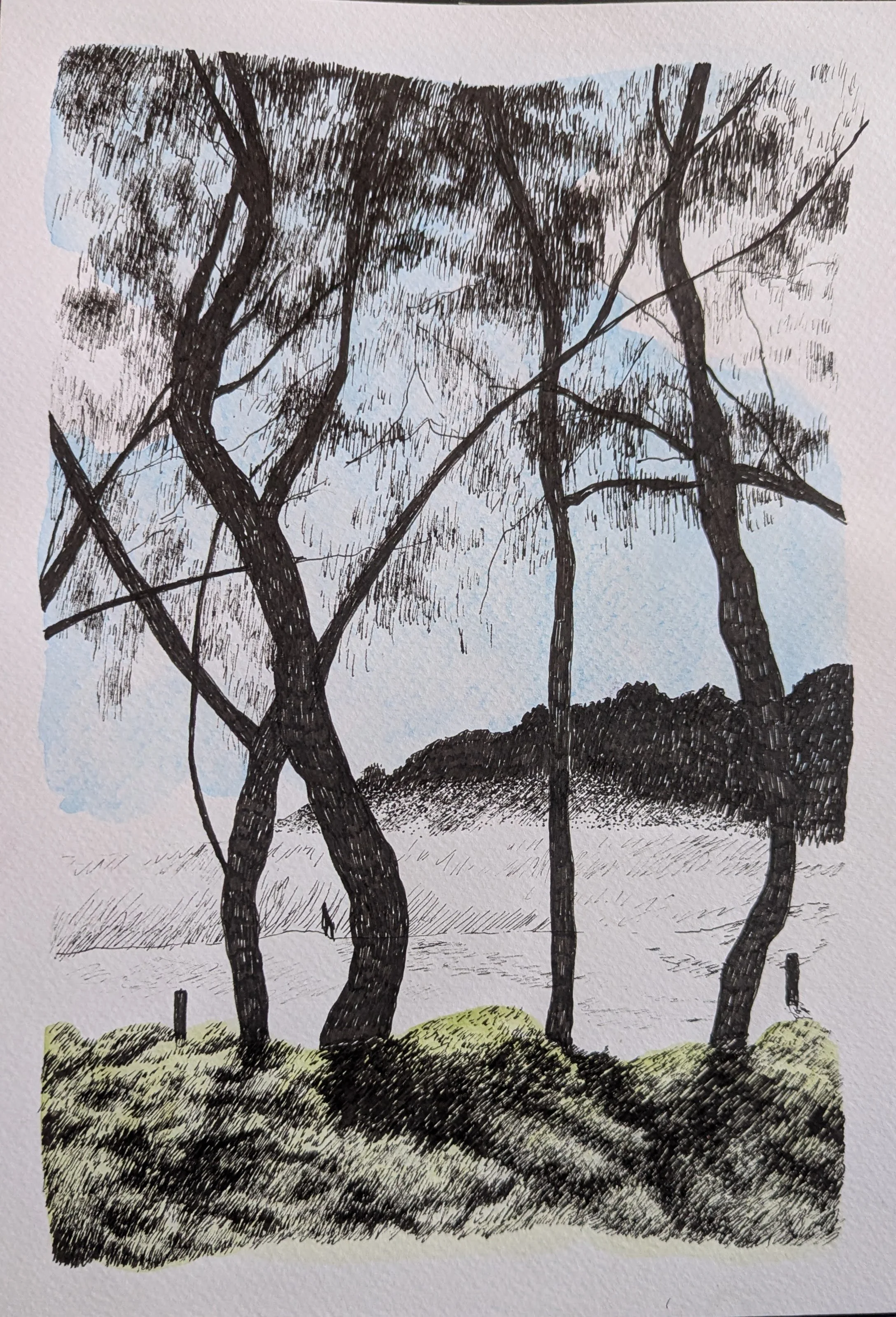 through the tree line