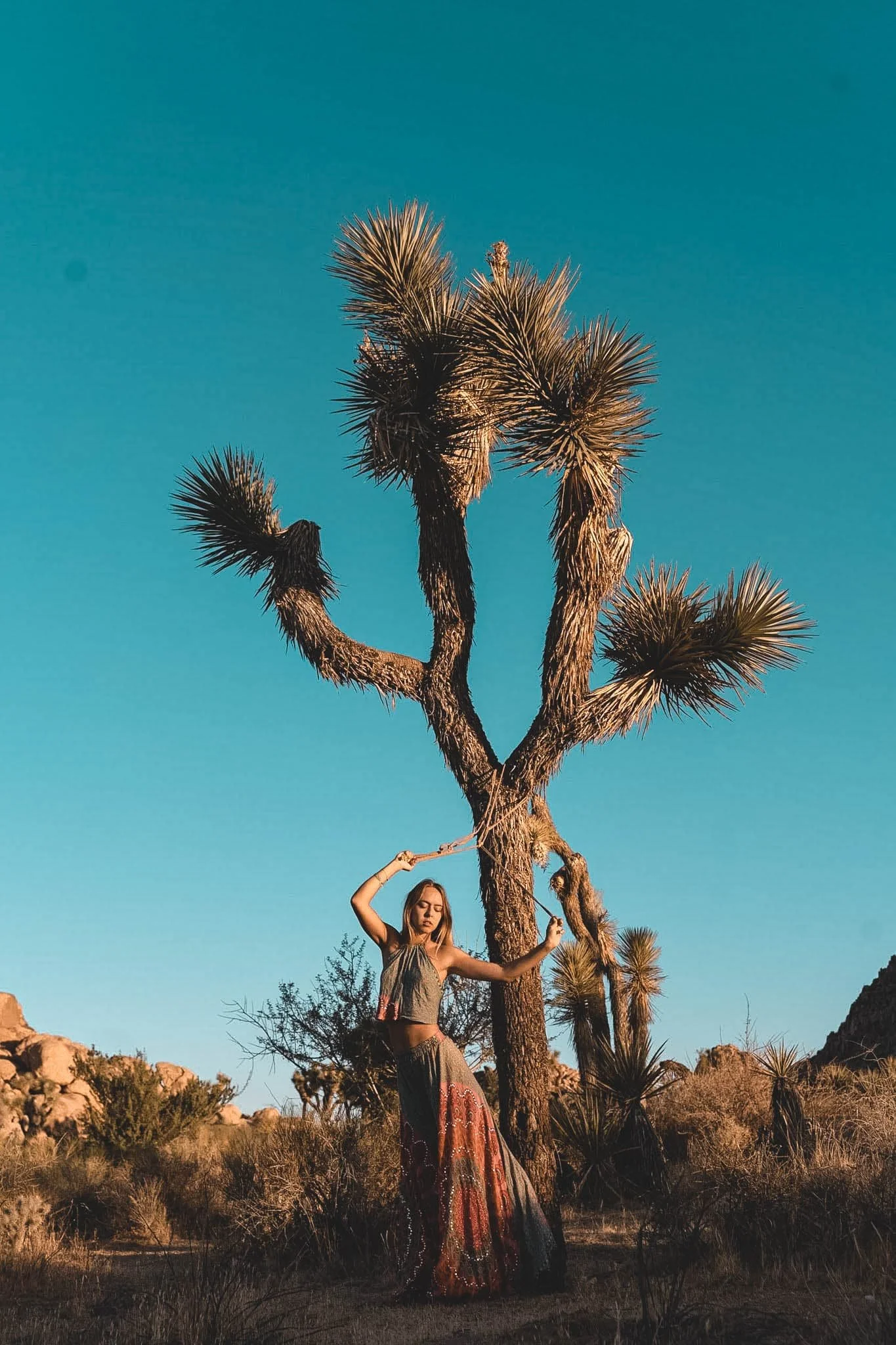 A woman standing next to a desert tree in a dry landscape with rocks and bushes, under a clear blue sky.