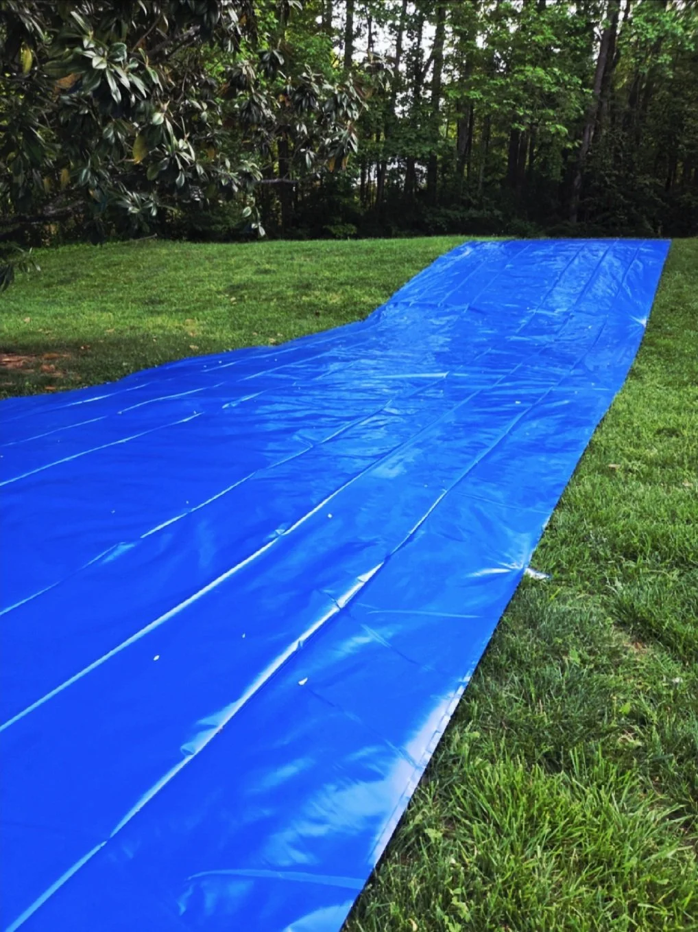 Slip N Slide (50 feet!)