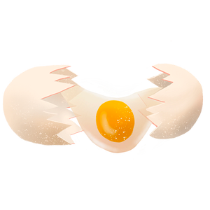 A cracked eggshell with a sunny-side-up egg inside, placed on a white background.