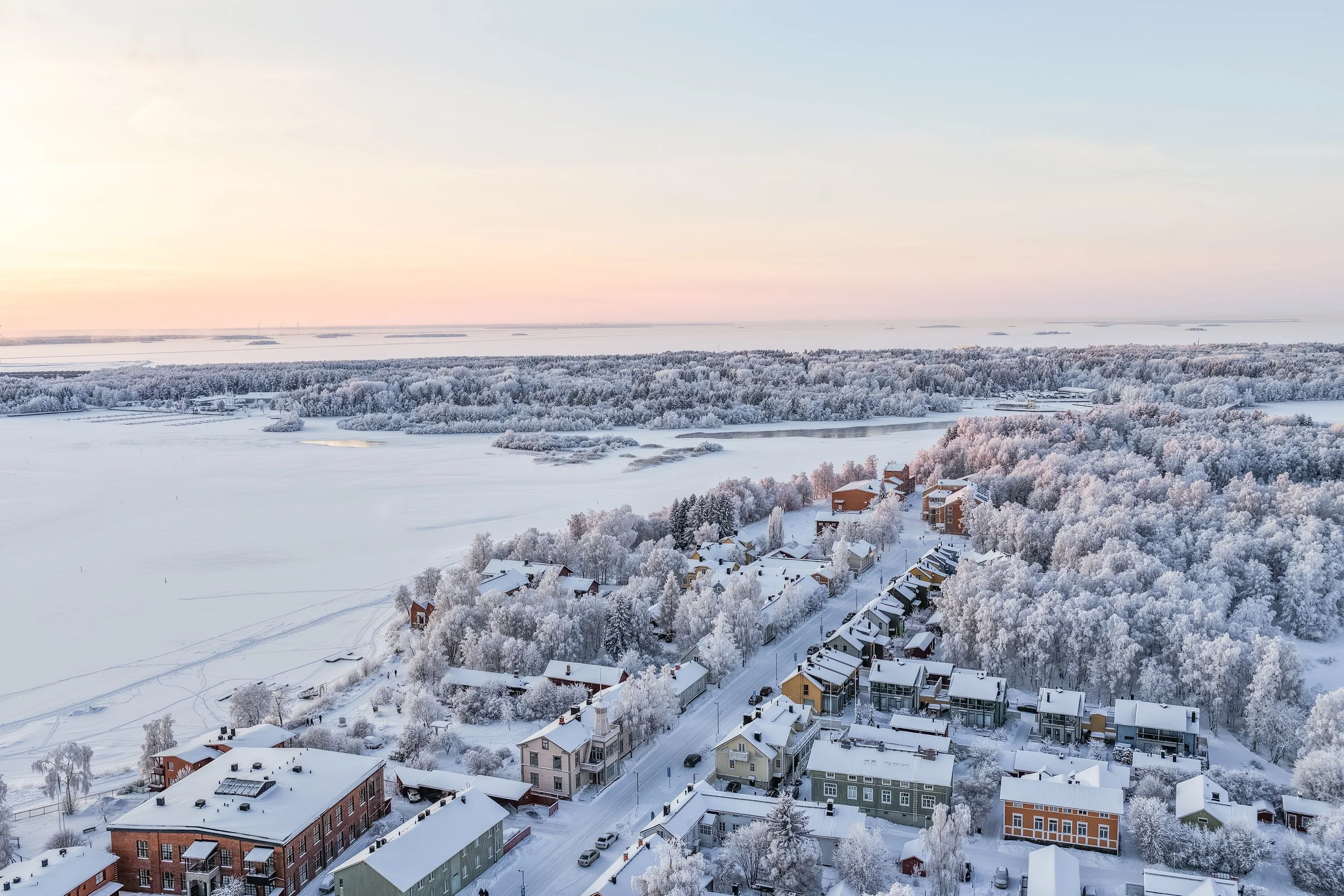 dji_fly_20260131_154554_0042_1769872929105_photo.JPG