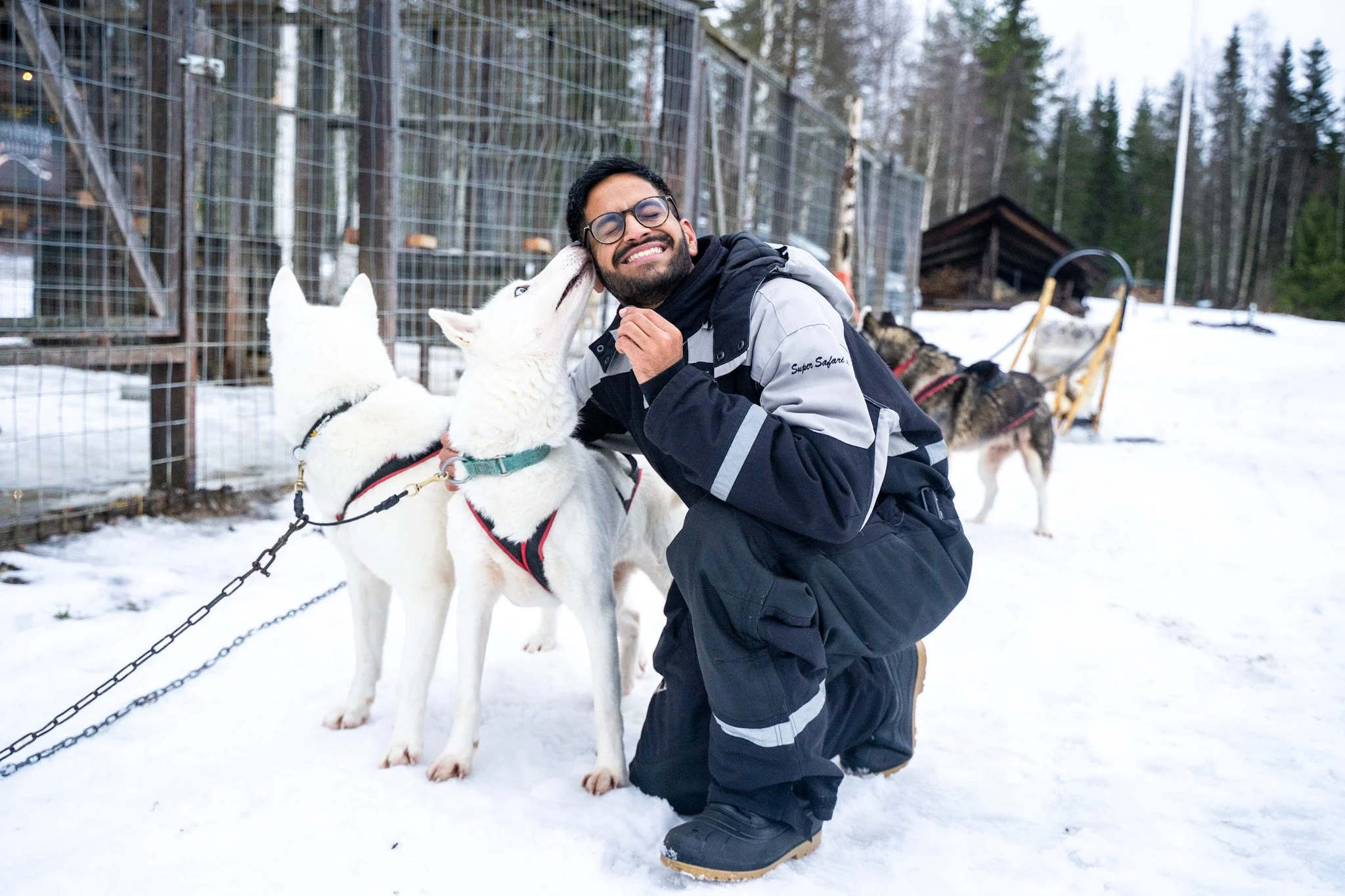 Intialainen vaikuttajaperhe tutustumassa huskyihin Syötteen Eräpalveluiden huskytarhalla Iso-Syötteellä talvella 2025