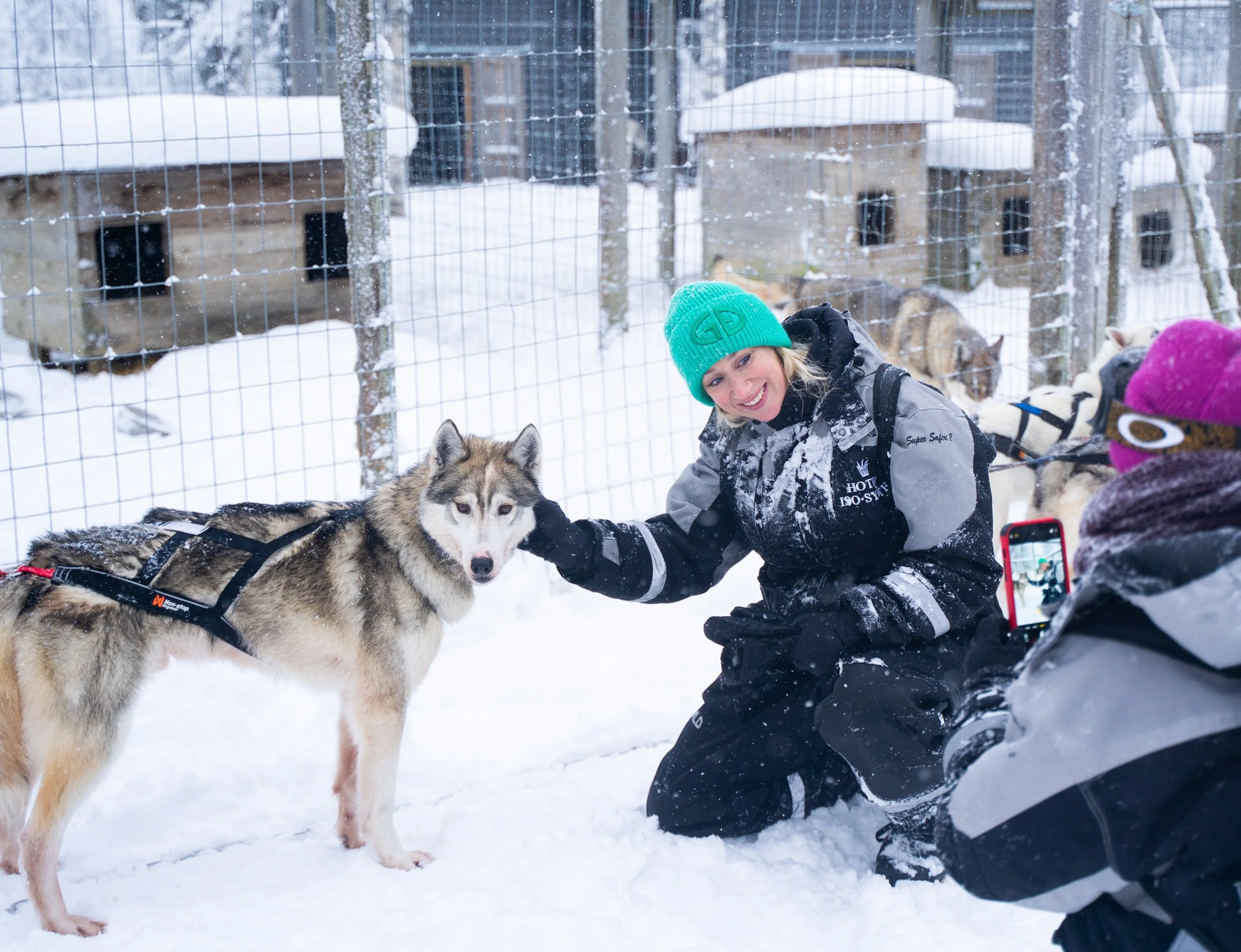 Vaikuttajat tutustumassa huskyihin Syötteen Eräpalveluiden huskytarhalla Iso-Syötteellä talvella 2025