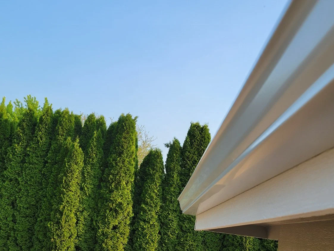 gutter-and-trees.jpg