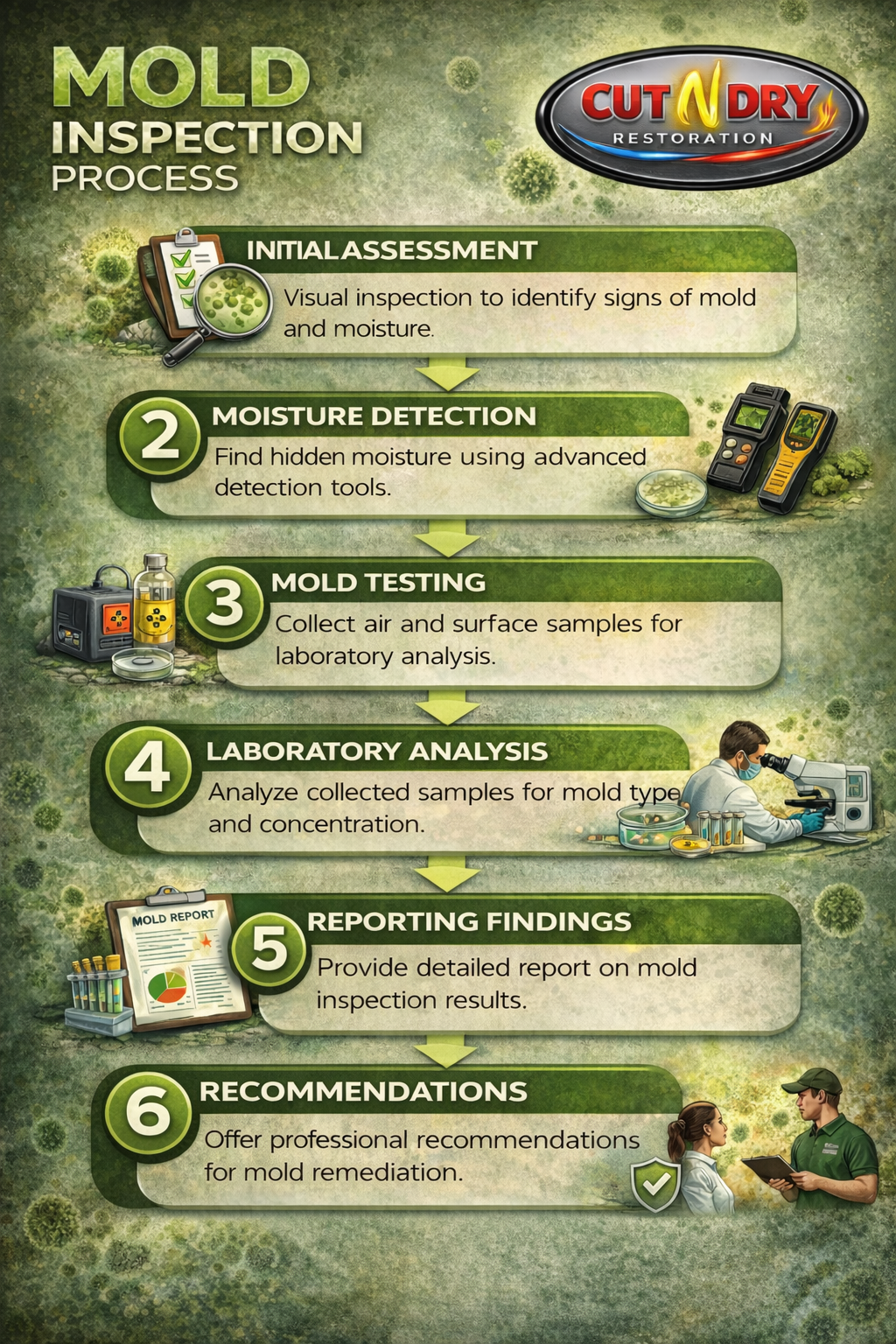 Flowchart illustrating the mold inspection process, including initial assessment, moisture detection, mold testing, laboratory analysis, reporting findings, and recommendations, with images of inspection tools, lab equipment, and a professional consulting a client.
