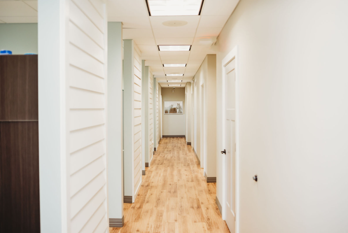Empty hallway with wooden flooring, white walls, and ceiling lights.
