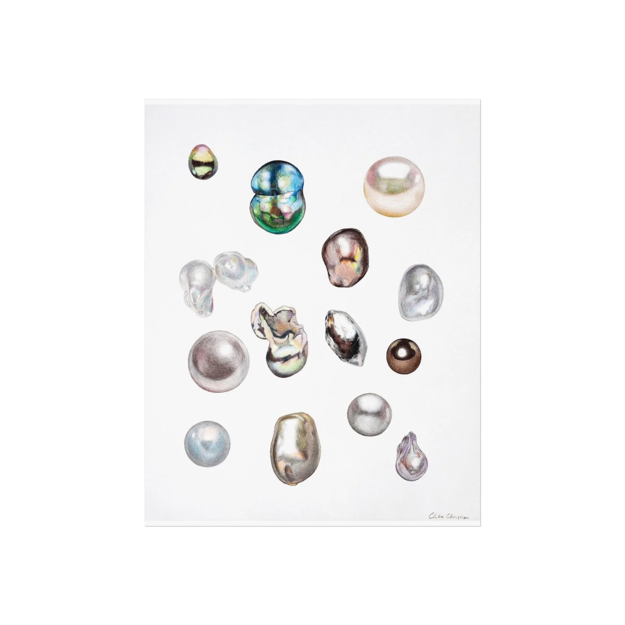 Pencil Crayon Pearl Study Fine Art Poster