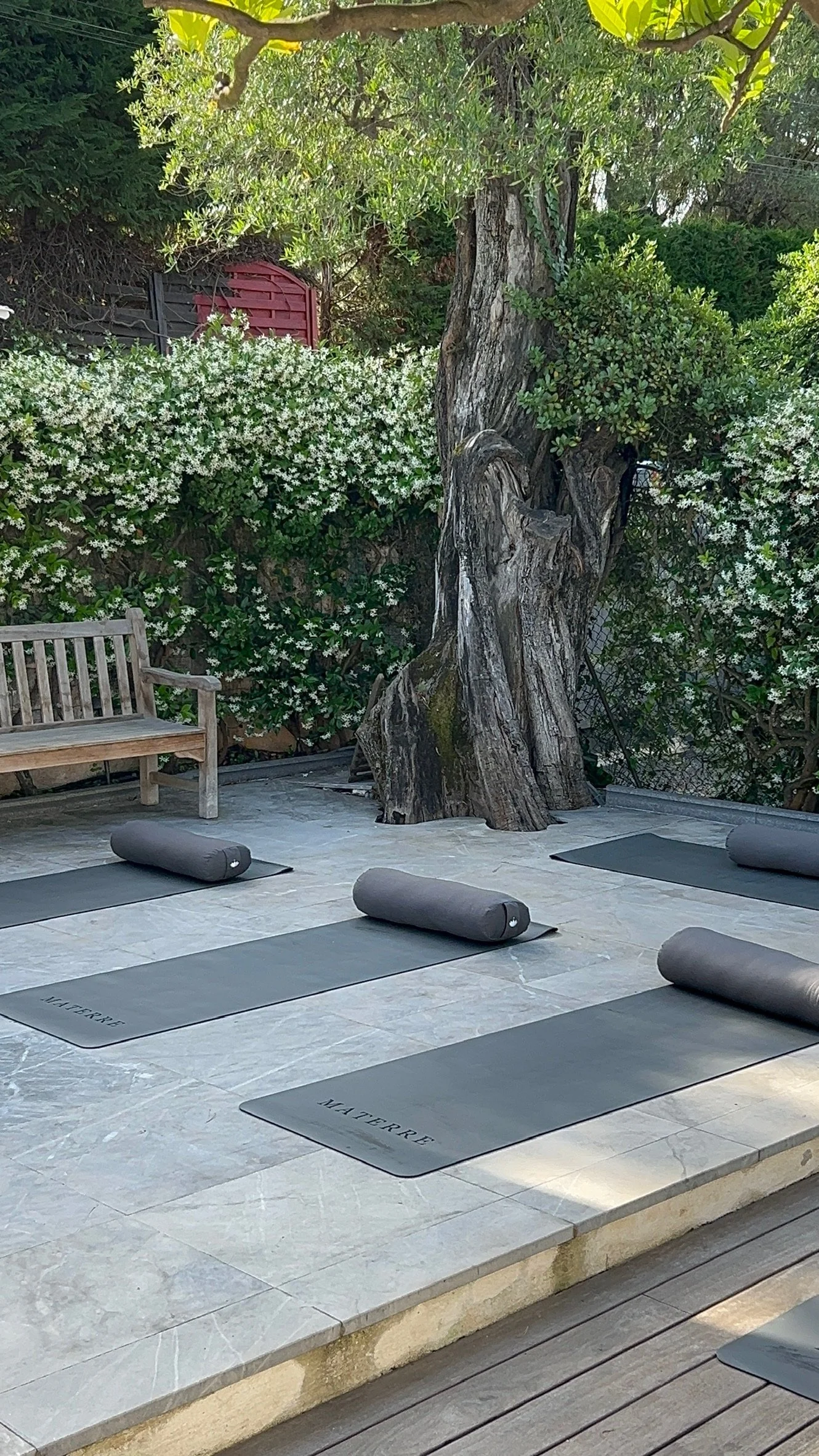 Outdoor yoga mats arranged beneath trees in a quiet garden setting