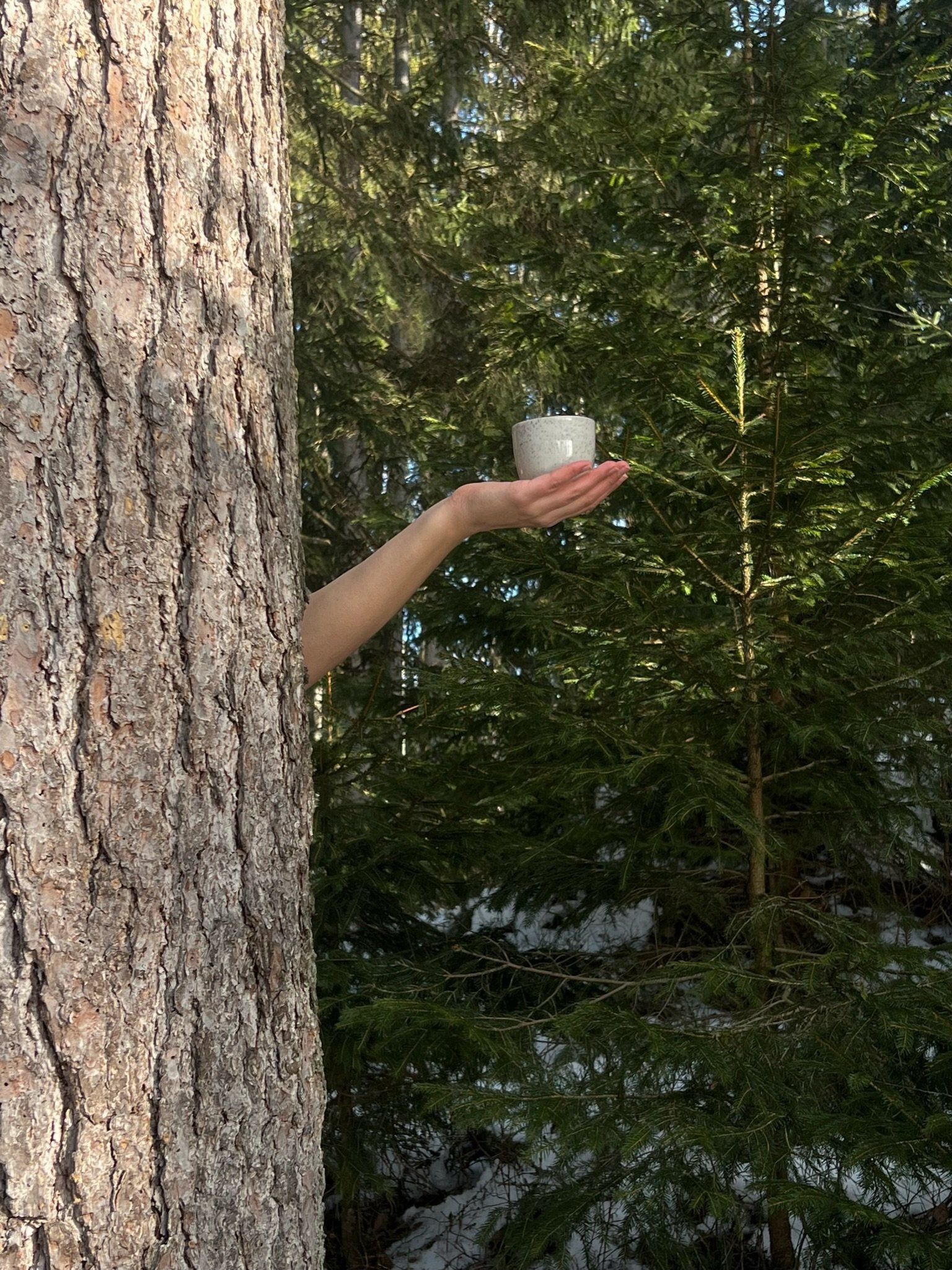 Hand holding a ceramic cup beside a tree in a dense forest