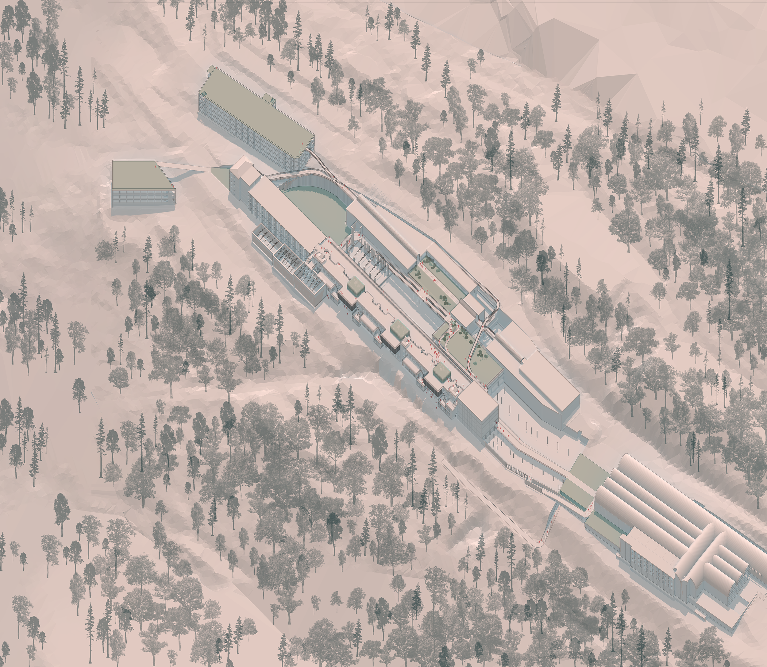 BELONGING IN TRANSITION