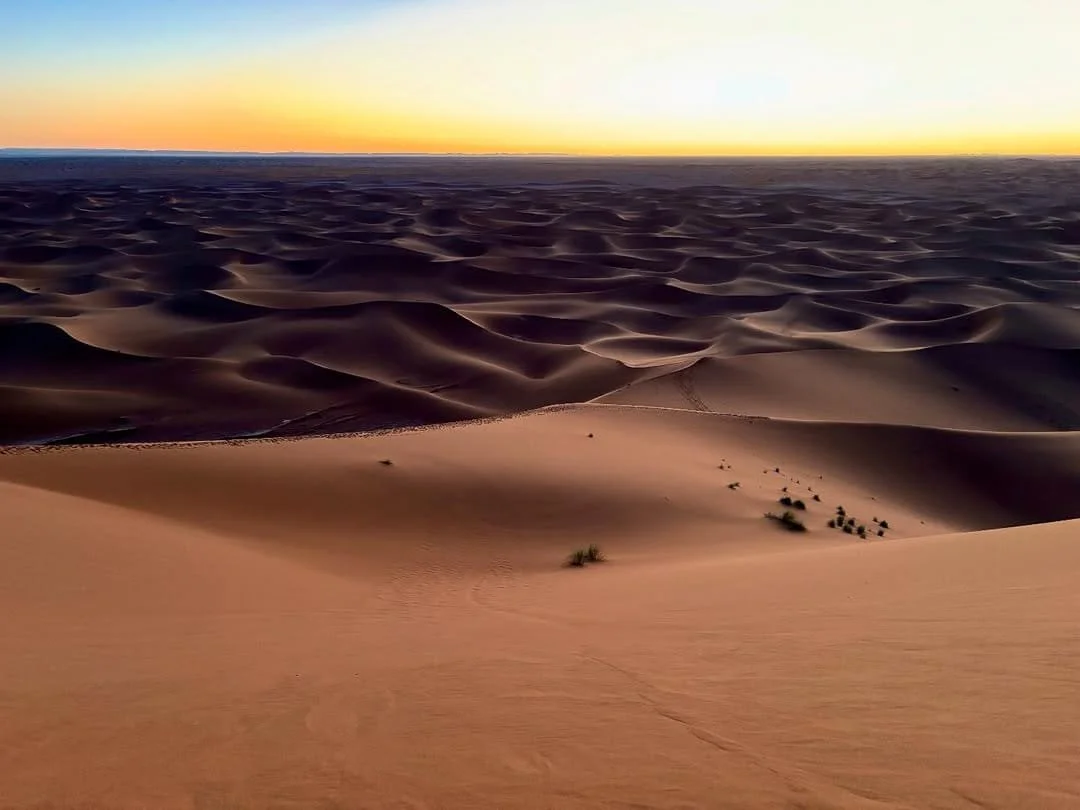 WhatsApp Image 2025-07-30 at 15.29.06 (1).jpeg