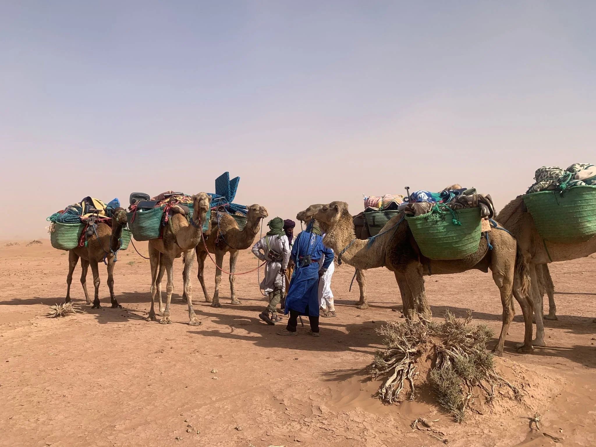 WhatsApp Image 2025-07-25 at 14.50.27.jpeg