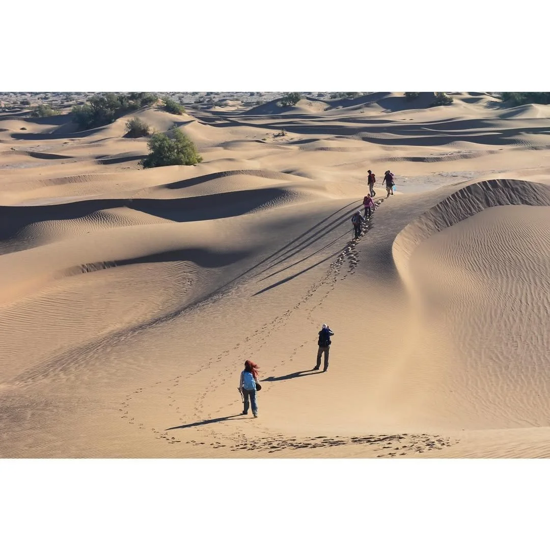 WhatsApp Image 2025-07-30 at 15.29.07.jpeg