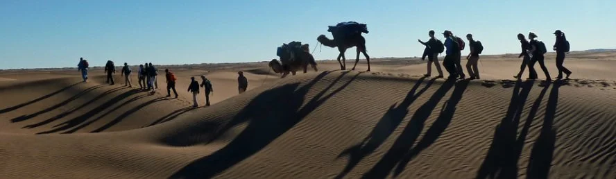 WhatsApp Image 2025-07-30 at 15.29.06.jpeg