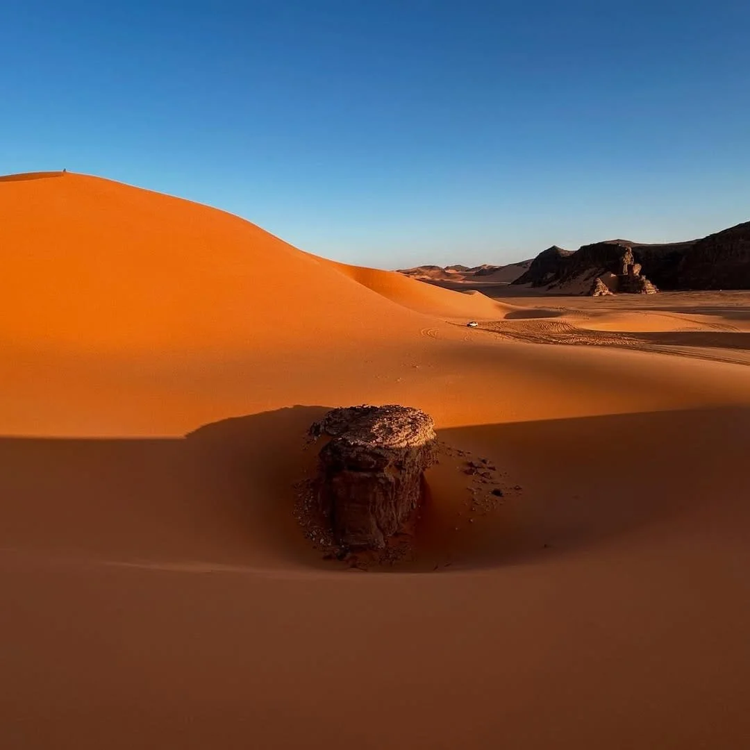 WhatsApp Image 2025-07-30 at 15.29.08 (3).jpeg