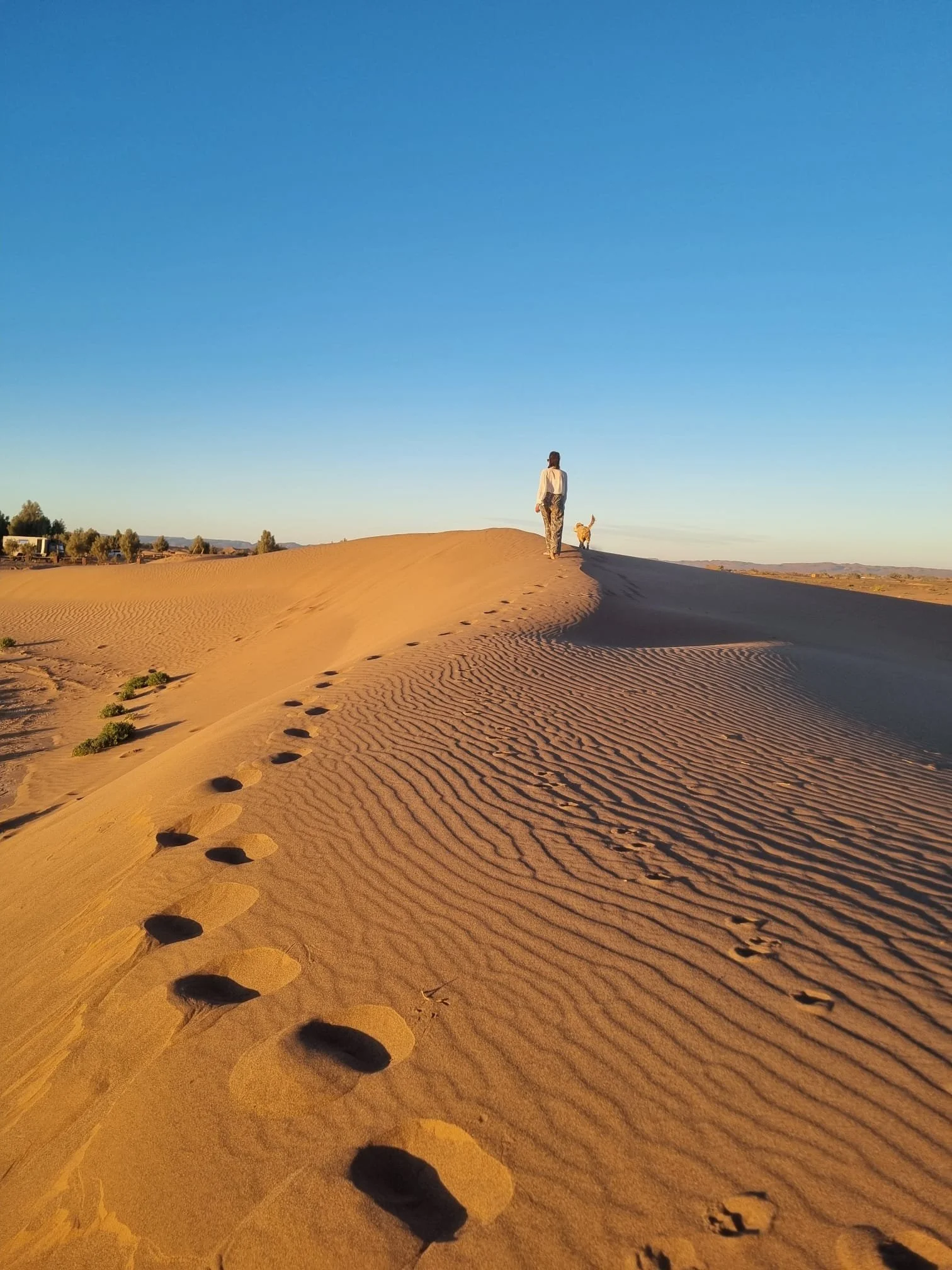 WhatsApp Image 2025-08-01 at 10.22.44 (1).jpeg