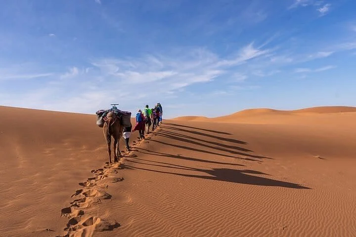 WhatsApp Image 2025-07-30 at 15.29.14 (1).jpeg