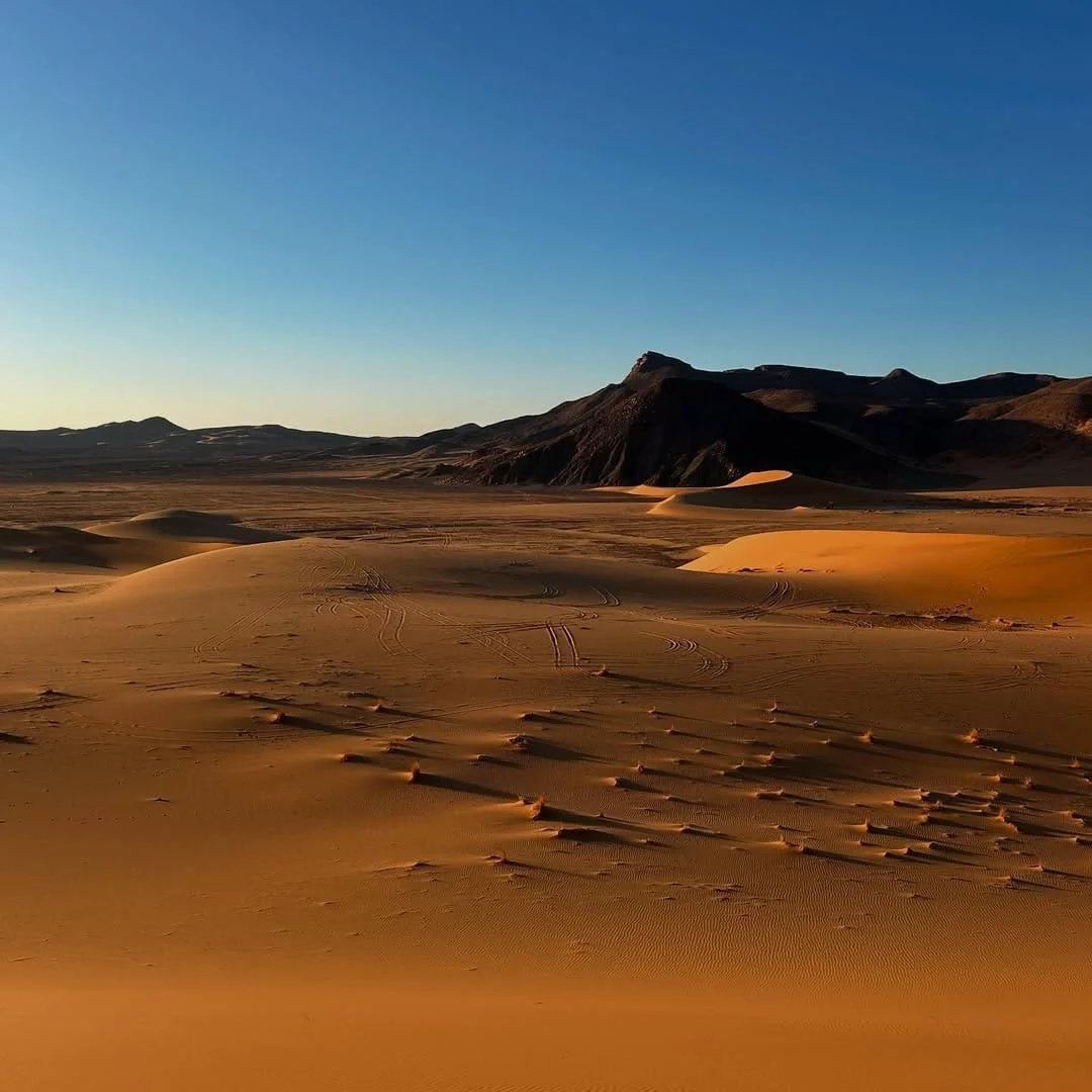 WhatsApp Image 2025-07-30 at 15.29.12 (2).jpeg