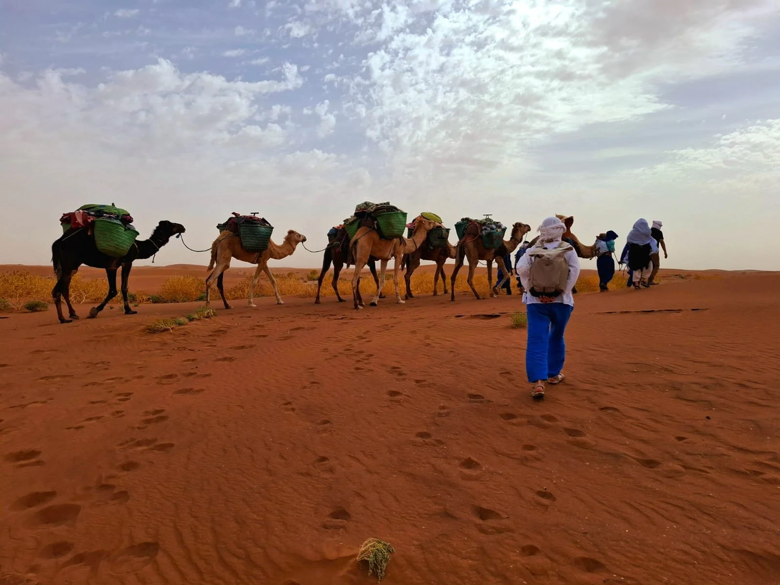 WhatsApp Image 2025-07-25 at 14.50.27 (1).jpeg