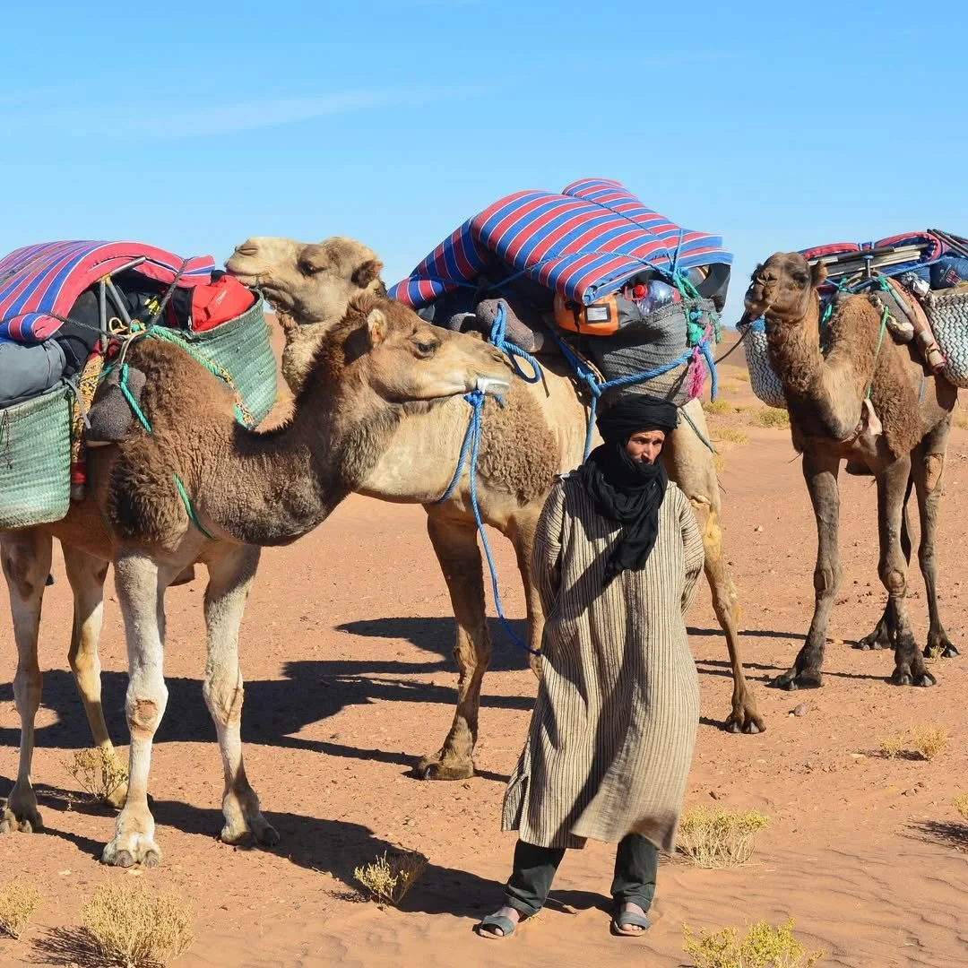 WhatsApp Image 2025-07-30 at 15.29.08 (2).jpeg