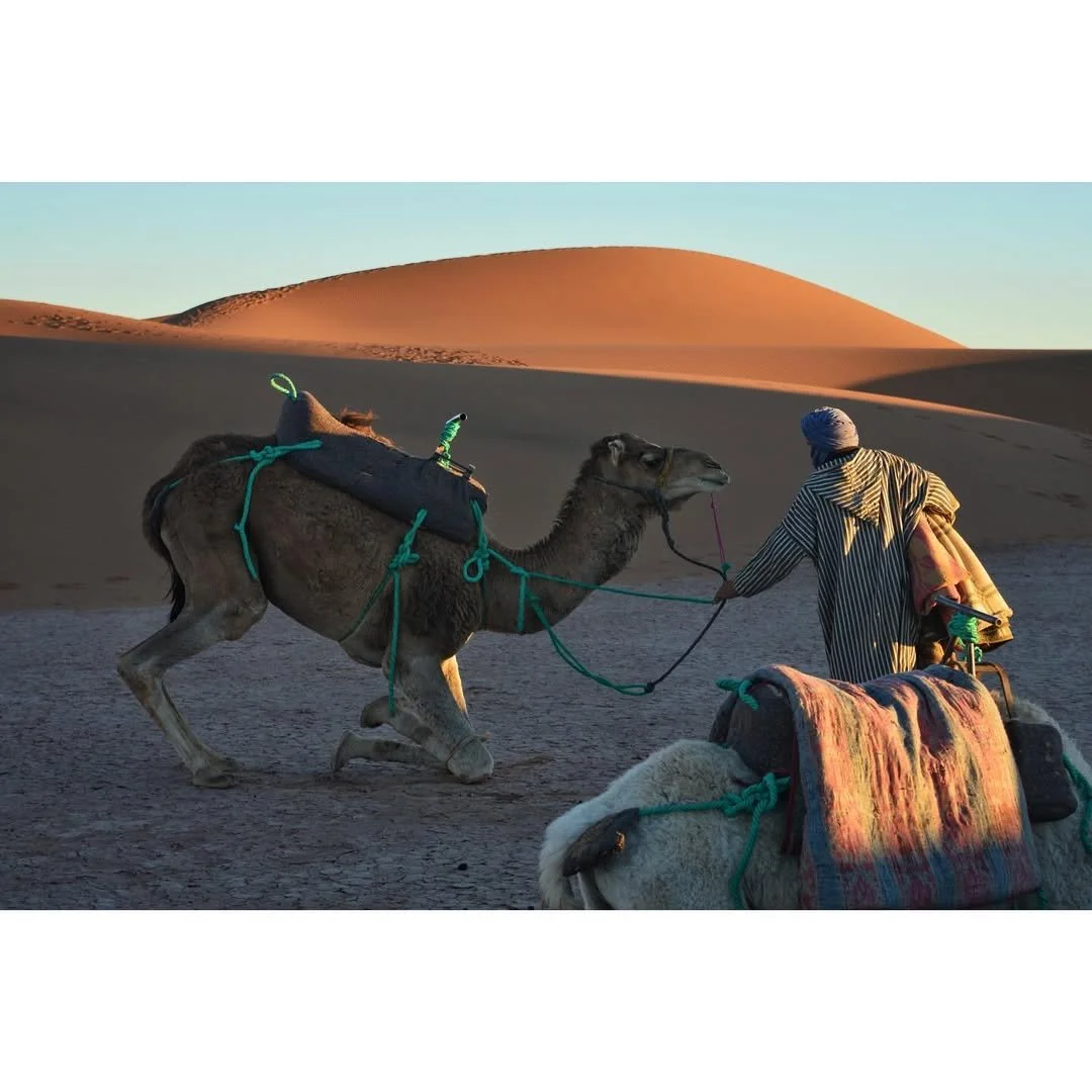 WhatsApp Image 2025-07-30 at 15.29.07 (1).jpeg