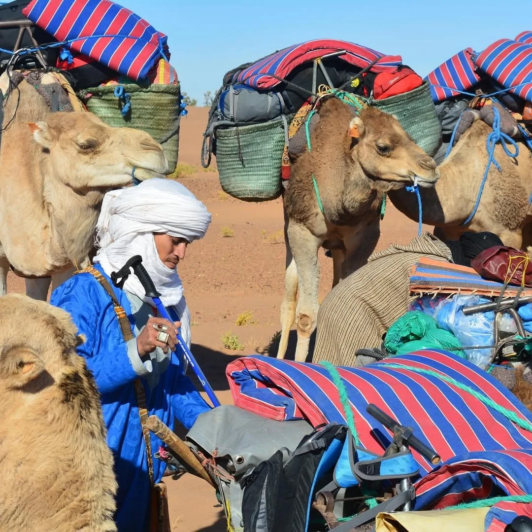 WhatsApp Image 2025-07-30 at 15.29.12.jpeg