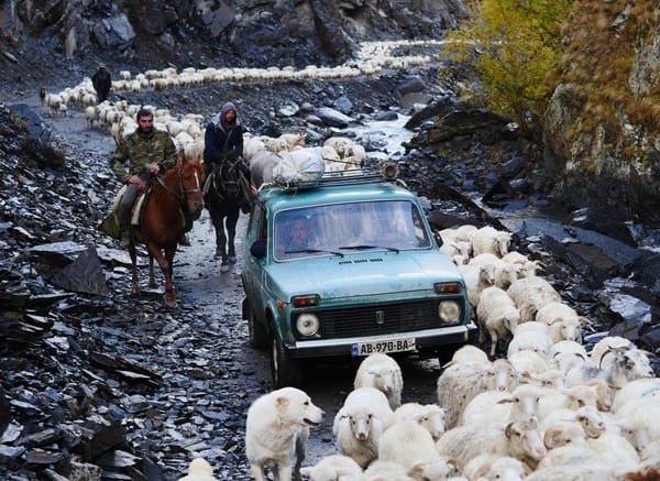 WhatsApp Image 2025-02-07 at 08.30.44 (4).jpeg