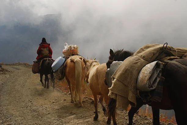 WhatsApp Image 2025-02-07 at 08.30.42 (3).jpeg