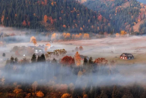 WhatsApp Image 2025-02-07 at 08.30.38.jpeg