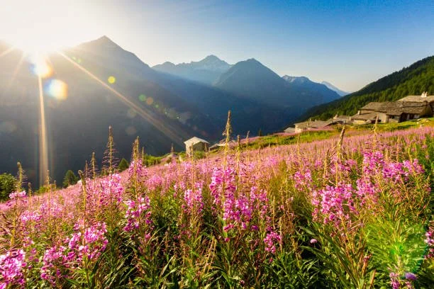 WhatsApp Image 2025-02-07 at 08.30.39 (1).jpeg