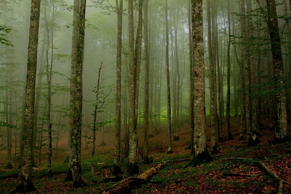 WhatsApp Image 2025-01-05 at 19.51.23.jpeg