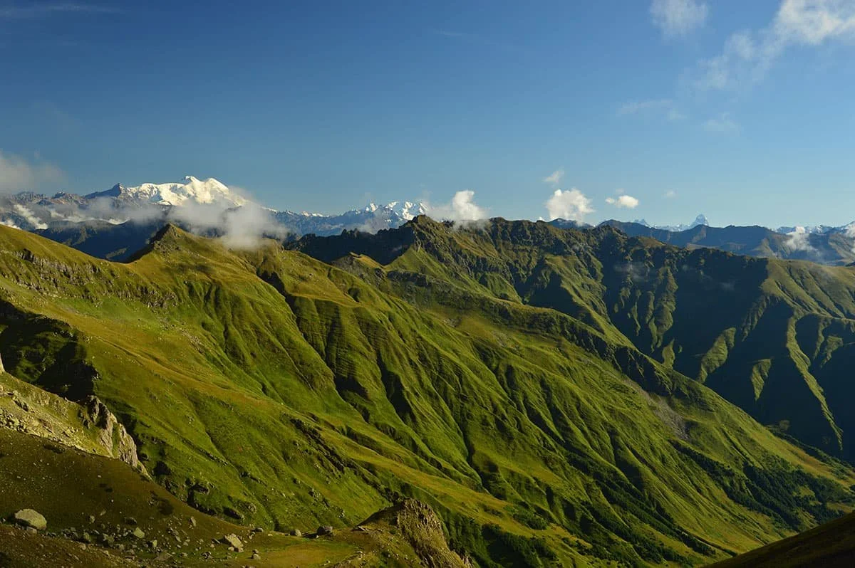 WhatsApp Image 2025-01-05 at 19.51.24.jpeg