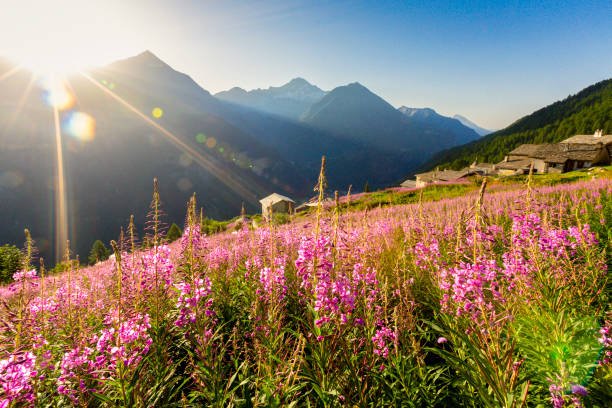 WhatsApp Image 2025-02-07 at 08.30.39 (1).jpeg