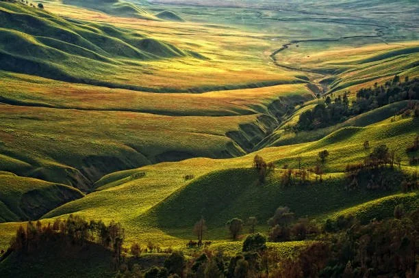 WhatsApp Image 2025-02-07 at 08.30.38 (3).jpeg