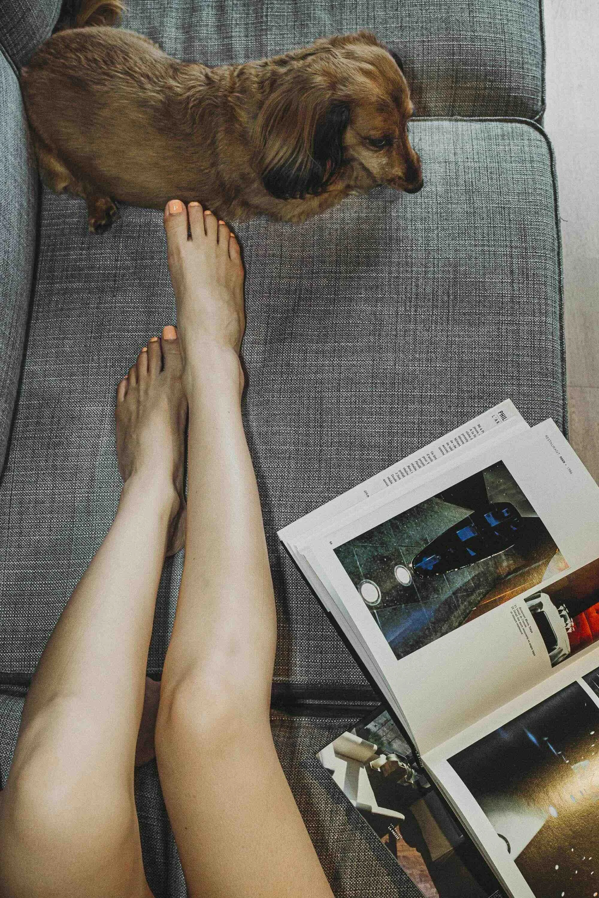 Des jambes nues reposant sur un canapé gris, à côté d'un chien à oreilles longues, de couleur marron, allongé sur le canapé. Un magazine ouvert avec des photos de voitures et de lumières de nuit repose à côté.