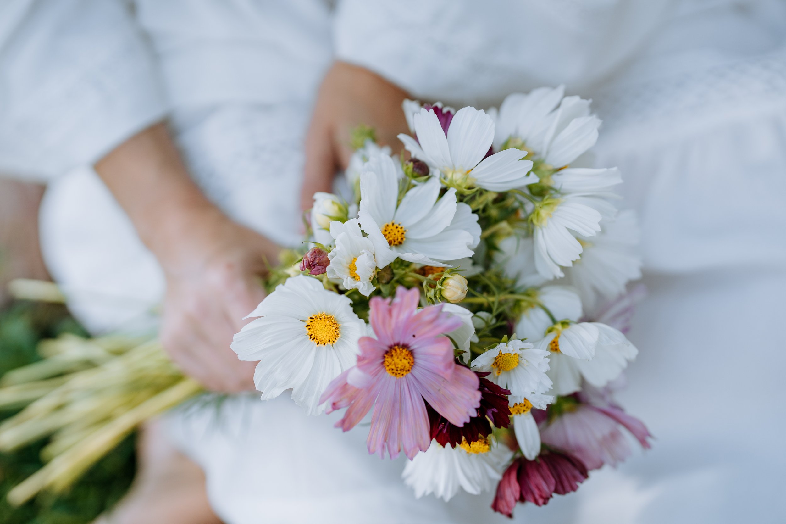 svatební místo střední Čechy příroda