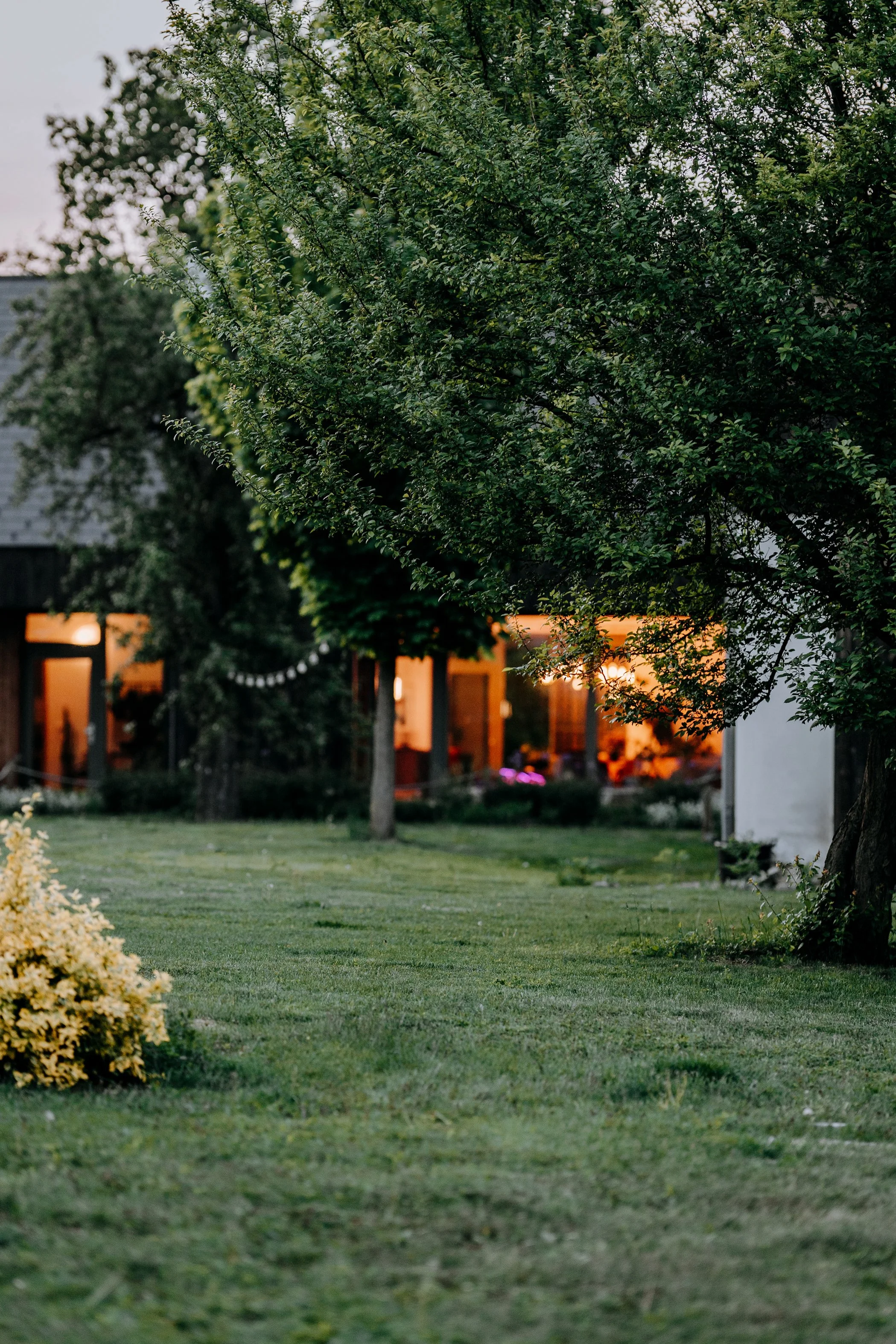 březový háj fotolokace, roubenka a sad s pozadí s moderním domem