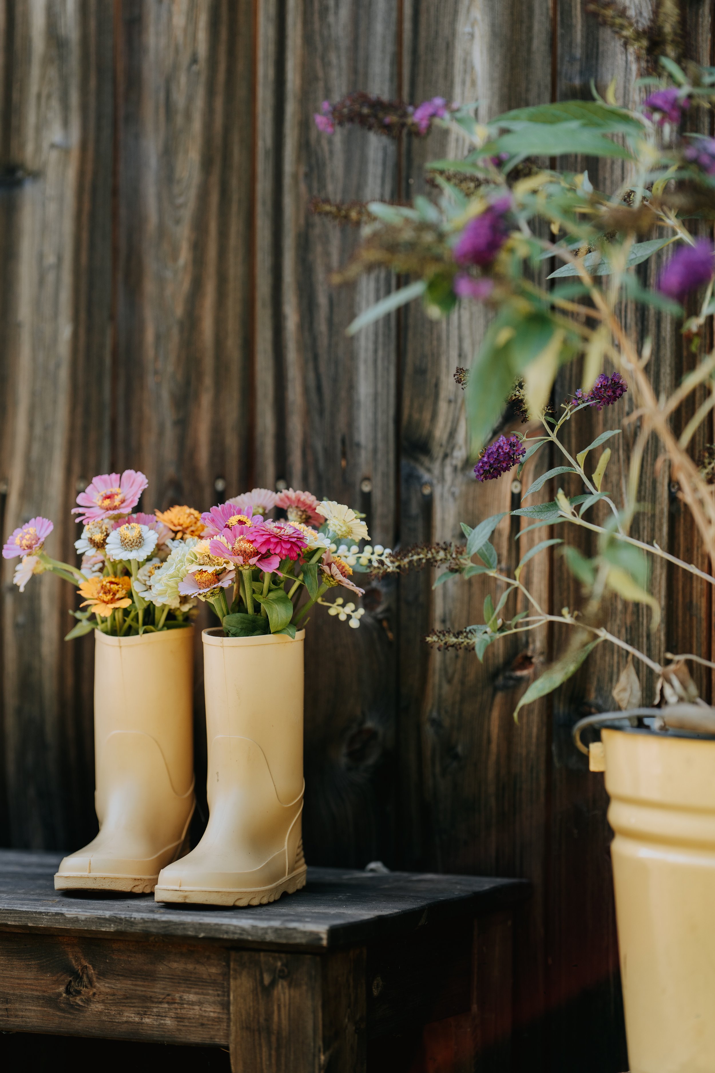 Yellow rain boots filled with colorful flowers, placed on a weathered wooden surface against a rustic wooden fence, with green leaves and purple flowers in the background.