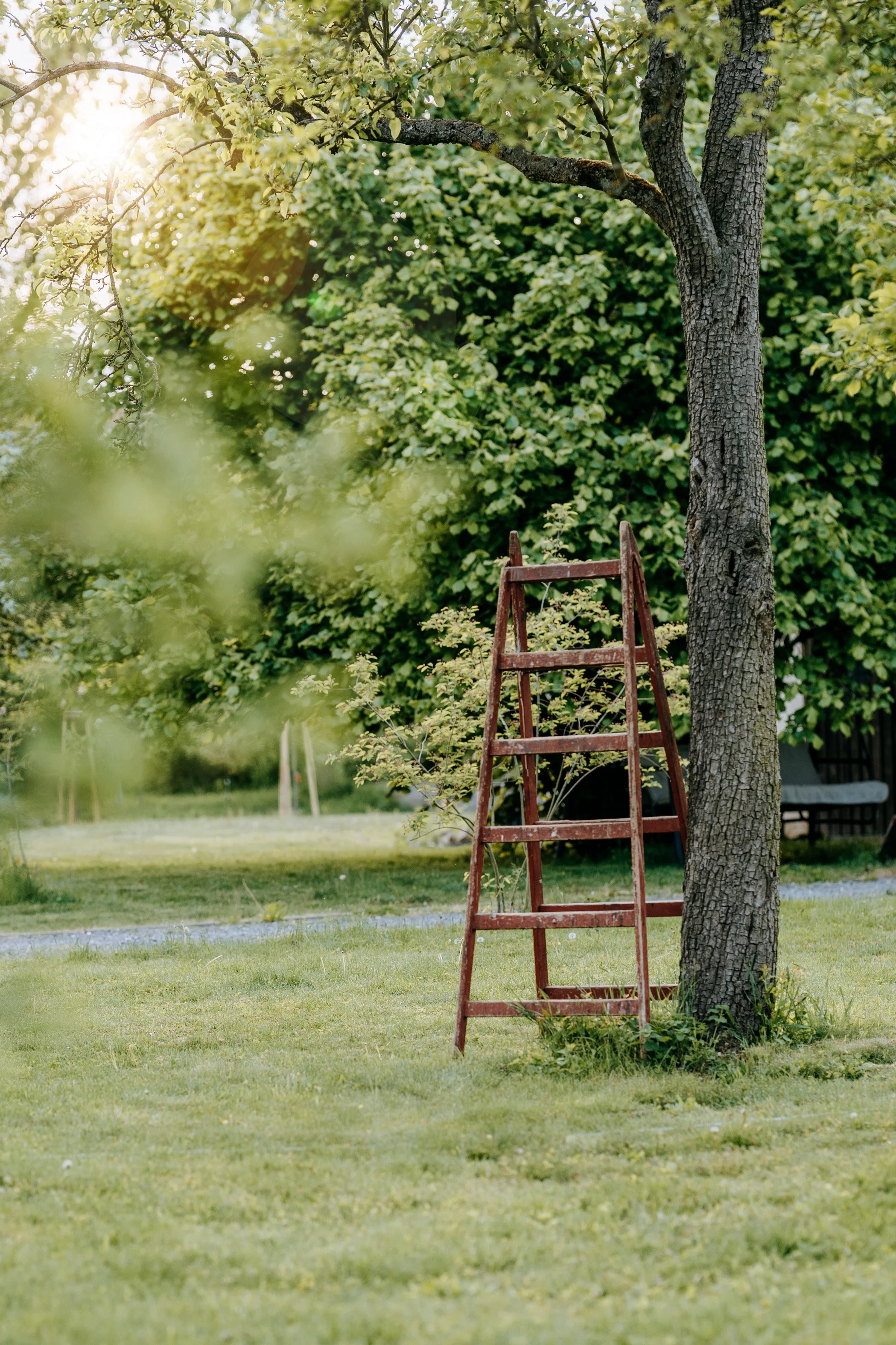 fotolokace se starými stromy, moderní dům, altán, roubenka a stodola