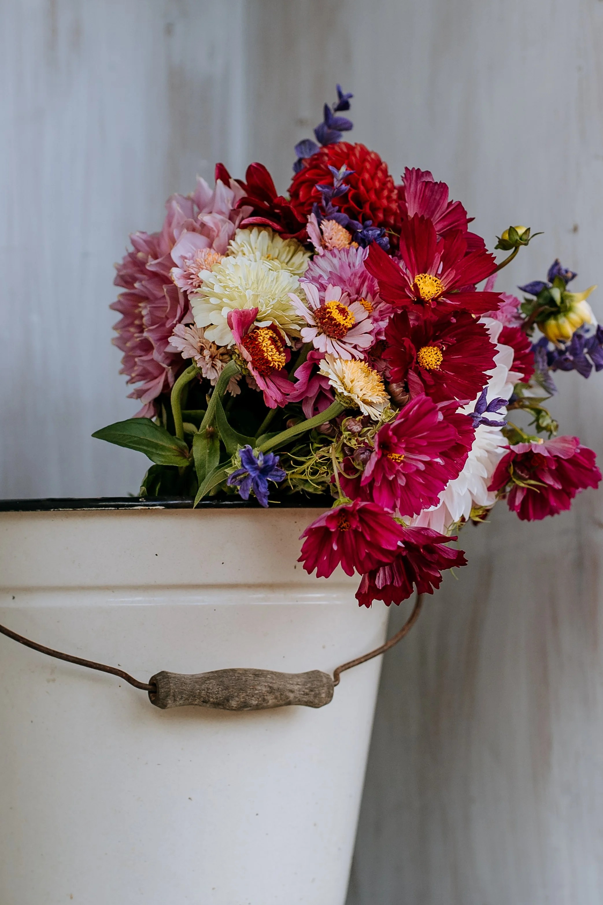 kytice z kvetinove farmy, lokalni kvetiny stredni cechy