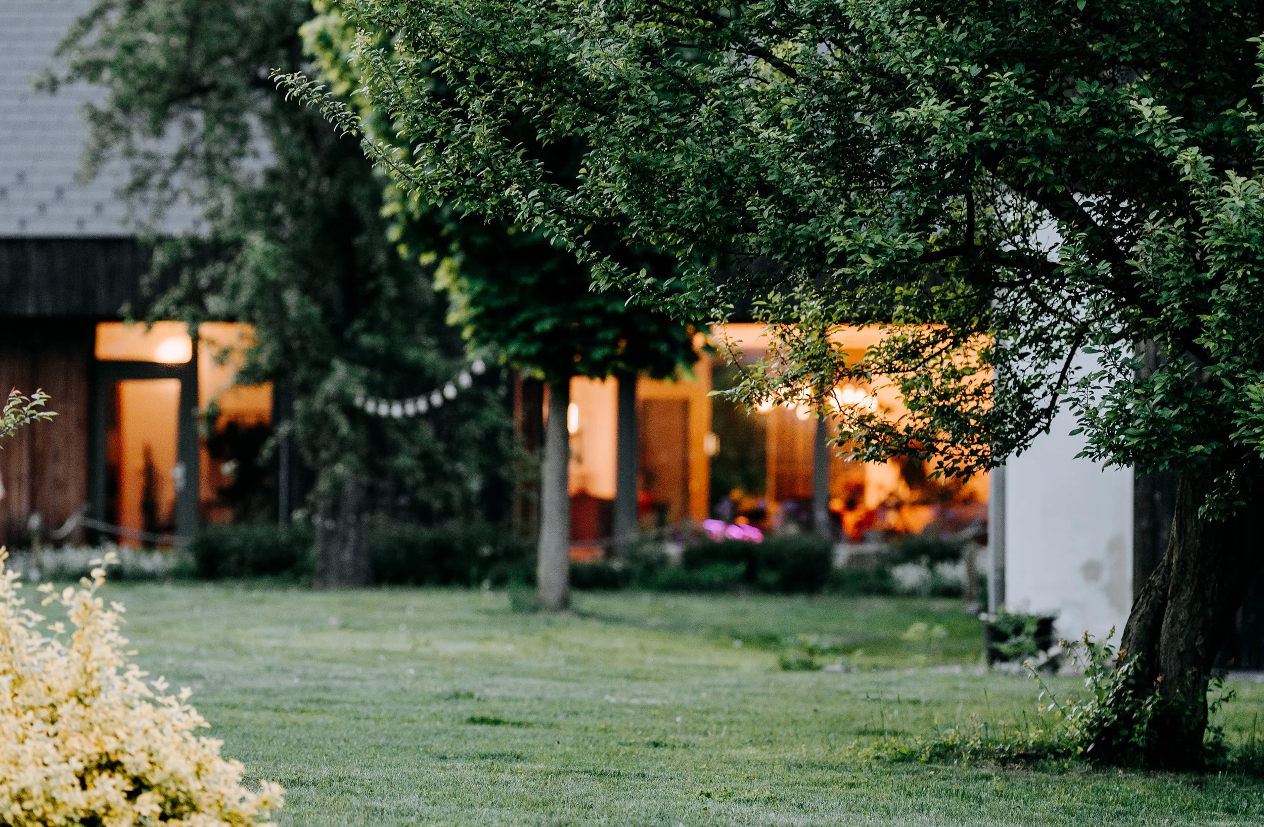 A backyard scene at dusk with a grassy lawn, trees, and a house with warm interior lighting visible through large windows. String lights are hung among the trees.