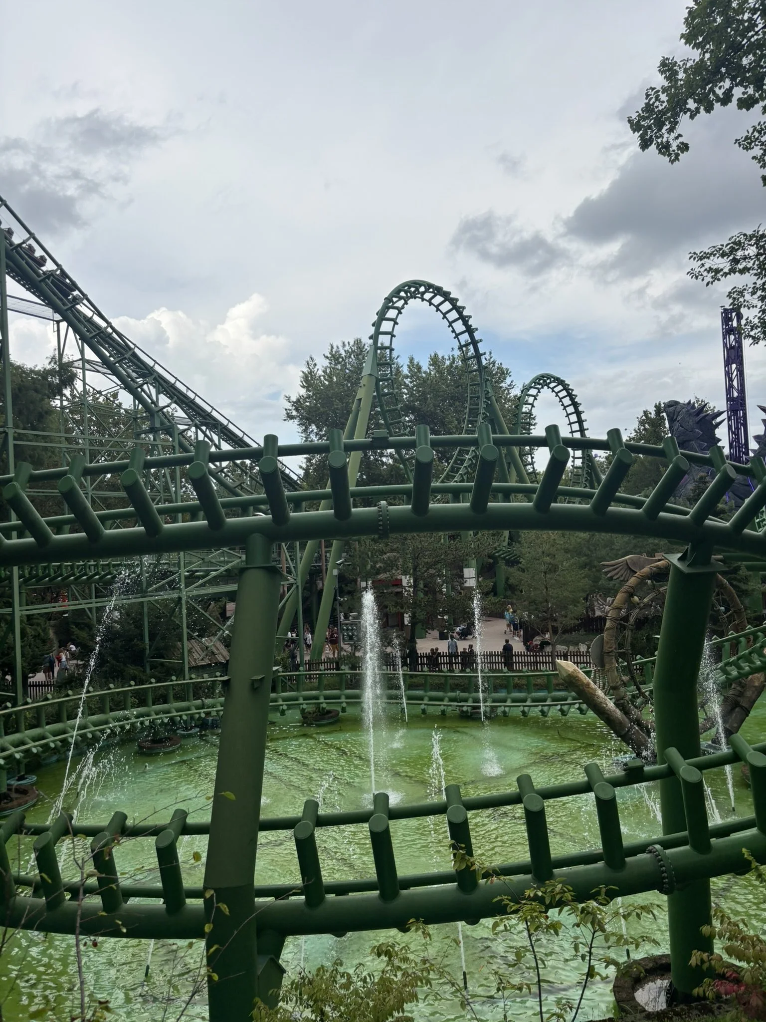 IMG_7566.JPEG