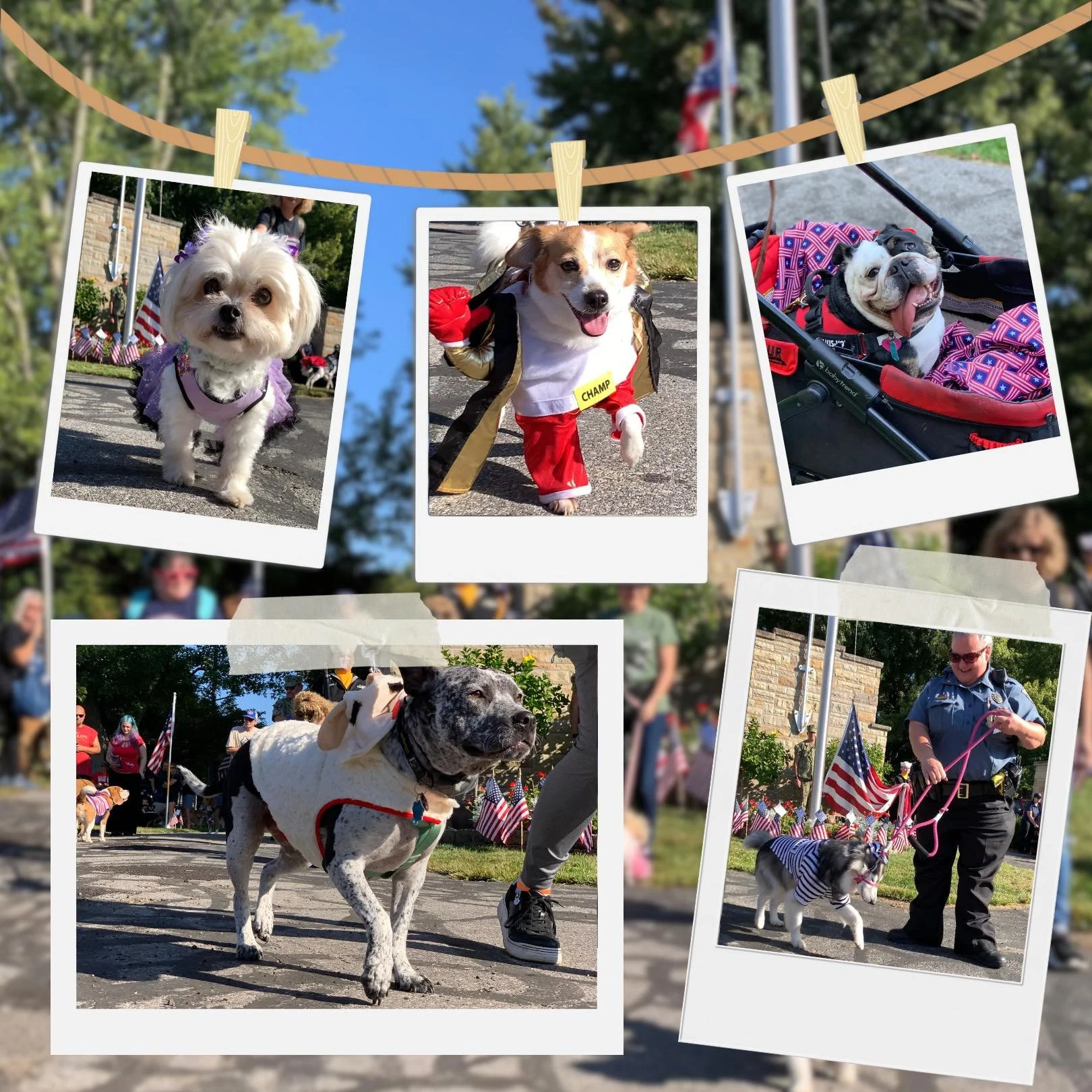 2025_tangos_trot_gallery (9).jpg