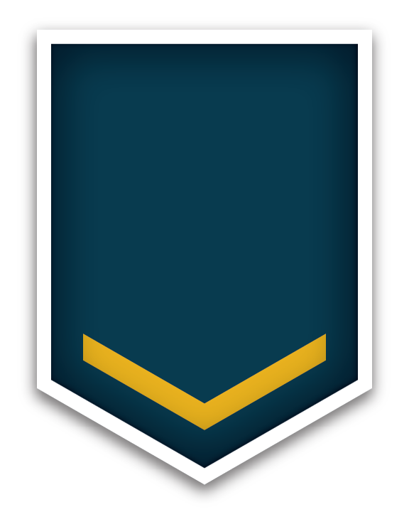 Site icon showing a Navy rank insignia with one gold chevron pointing downward on a shield-shaped dark blue background, bordered by white.