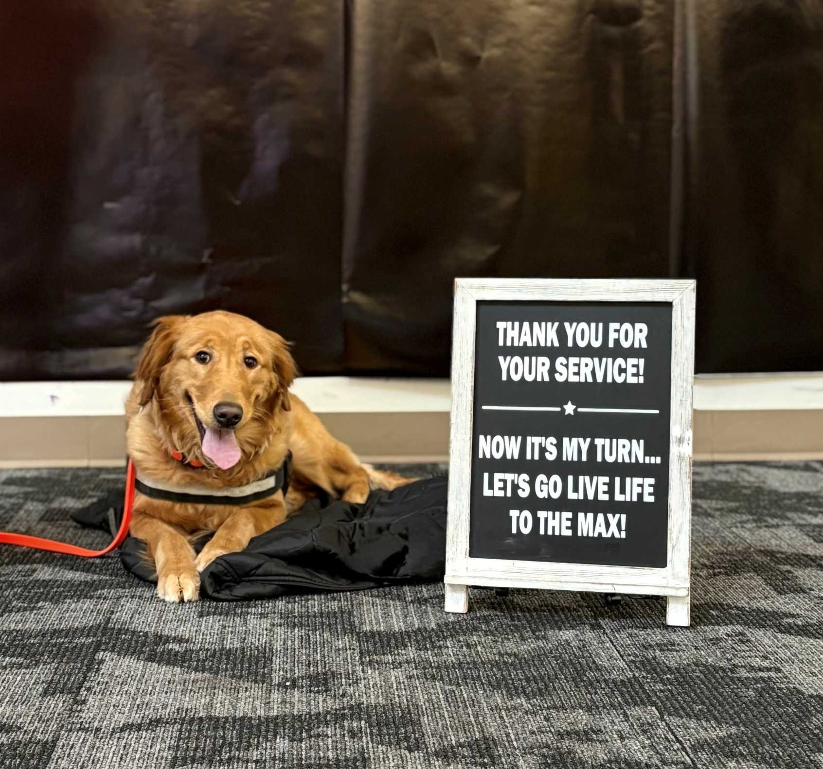 Service Dog Clementine