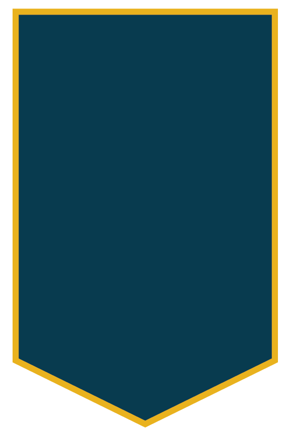 Site graphic showing a vertical, navy blue and gold ribbon with no visible text or symbols.